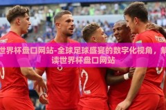 世界杯盘口网站-全球足球盛宴的数字化视角，解读世界杯盘口网站
