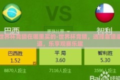 世界杯竞猜在哪里买的-世界杯竞猜，选择靠谱渠道，乐享观赛乐趣