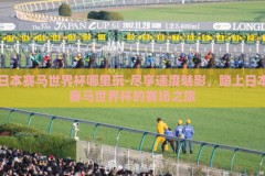 日本赛马世界杯哪里玩-尽享速度魅影，踏上日本赛马世界杯的赛场之旅