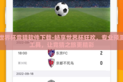 世界杯竞猜软件下载-畅享世界杯狂欢，专业预测工具，让竞猜之旅更精彩