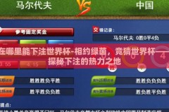 在哪里能下注世界杯-相约绿茵，竞猜世界杯——探秘下注的热力之地