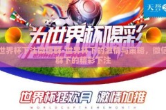 世界杯下注微信群-世界杯下的激情与策略，微信群下的精彩下注