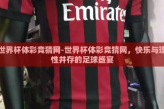 世界杯体彩竞猜网-世界杯体彩竞猜网，快乐与理性并存的足球盛宴