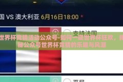 世界杯竞猜活动公众号-如何一窥世界杯狂欢，揭秘公众号世界杯竞猜的乐趣与风潮