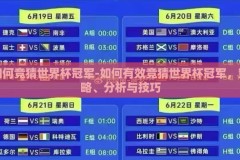 如何竞猜世界杯冠军-如何有效竞猜世界杯冠军，策略、分析与技巧