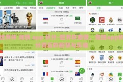 世界杯 竞猜 app 积分-世界杯激情，竞猜app积分背后的智慧与乐趣