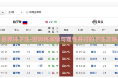 世界杯下注-世界杯激情与理性并行的下注之路