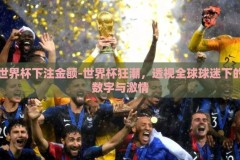 世界杯下注金额-世界杯狂潮，透视全球球迷下的数字与激情