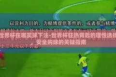 世界杯在哪买球下注-世界杯狂热背后的理性选择，安全购球的关键指南