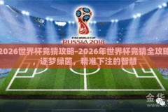 2026世界杯竞猜攻略-2026年世界杯竞猜全攻略，逐梦绿茵，精准下注的智慧
