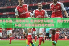 世界杯盘口赔率网站-解锁激情与策略，揭秘世界杯盘口赔率网站的奇妙世界