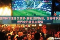 世界杯下注什么意思-解密足球热潮，世界杯下注世界中的赌局与激情