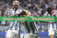 世界杯怎么竞猜的-一、关注关键数据指标