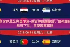 世界杯怎么开盘下注-世界杯球迷秘籍，如何理智参与下注，享受观赛乐趣