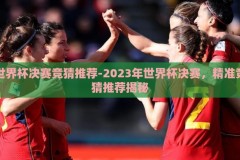 世界杯决赛竞猜推荐-2023年世界杯决赛，精准竞猜推荐揭秘