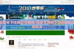 世界杯下注网站有哪些-揭秘世界杯下注网站的全球热潮