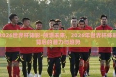 2026世界杯体彩-预测未来，2026年世界杯体彩背后的潜力与趋势
