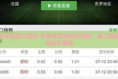 世界杯盘口回水-世界杯竞彩奥秘揭秘，盘口调整与回水策略