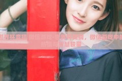 世界杯竞猜 微信游戏-世界杯竞猜，微信游戏中的热情与智慧较量
