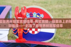 买世界杯冠军竞猜倍率-有奖竞猜，绿茵场上的智慧碰撞——别忘了看世界杯冠军倍率