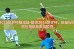 2026世界杯投注站-展望2026世界杯，揭秘投注站的策略与激情瞬间
