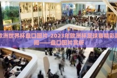 欧洲世界杯盘口图片-2023年欧洲杯足球赛精彩瞬间——盘口图片赏析