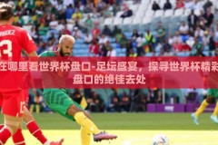 在哪里看世界杯盘口-足坛盛宴，探寻世界杯精彩盘口的绝佳去处