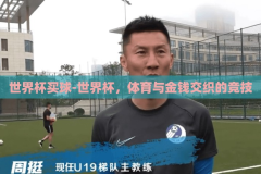 世界杯买球-世界杯，体育与金钱交织的竞技