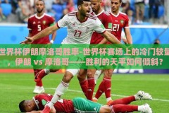 世界杯伊朗摩洛哥胜率-世界杯赛场上的冷门较量，伊朗 vs 摩洛哥——胜利的天平如何倾斜？