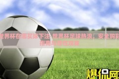 世界杯在哪买球下注-世界杯足球热浪，安全购彩指南与理性观赛