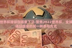 世界杯赌球在哪里下注-聚焦2022世界杯，全球体坛盛宴的另一种参与方式