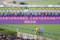 日本赛马世界杯哪里玩-日本赛马世界杯的魅力与体验之旅