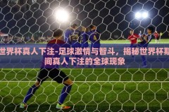 世界杯真人下注-足球激情与智斗，揭秘世界杯期间真人下注的全球现象
