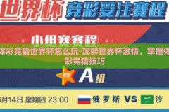 体彩竞猜世界杯怎么玩-沉醉世界杯激情，掌握体彩竞猜技巧
