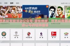 世界杯竞猜活动公众号-激情燃放，世界杯竞猜活动公号的狂热盛宴