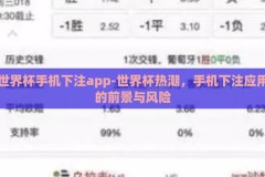 世界杯手机下注app-世界杯热潮，手机下注应用的前景与风险