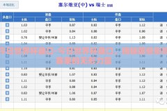 今日世界杯盘口-今日世界杯盘口，揭秘那些影响赛果的无形力量