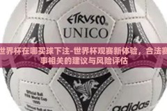 世界杯在哪买球下注-世界杯观赛新体验，合法赛事相关的建议与风险评估