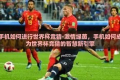 手机如何进行世界杯竞猜-激情绿茵，手机如何成为世界杯竞猜的智慧新引擎