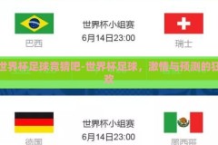 世界杯足球竞猜吧-世界杯足球，激情与预测的狂欢