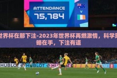 世界杯在那下注-2023年世界杯再燃激情，科学策略在手，下注有道