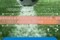 世界杯淘汰赛怎么竞猜-竞猜世界杯淘汰赛，掌握关键策略的至胜秘诀