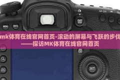 mk体育在线官网首页-滚动的屏幕与飞跃的步伐——探访MK体育在线官网首页