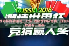 世界杯竞猜骗局二分法-揭秘世界杯竞猜，理性与欺骗的二重奏