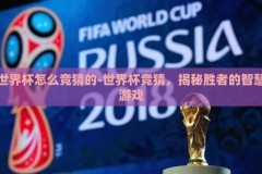 世界杯怎么竞猜的-世界杯竞猜，揭秘胜者的智慧游戏