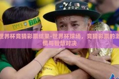 世界杯竞猜彩票结果-世界杯球场，竞猜彩票的激情与智慧对决