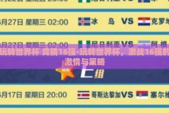 玩转世界杯 竞猜16强-玩转世界杯，激战16强的激情与策略