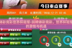 体彩竞彩世界杯冠军-玩转体彩竞彩，世界杯冠军的激情与机遇