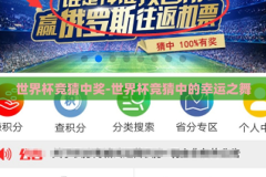 世界杯竞猜中奖-世界杯竞猜中的幸运之舞