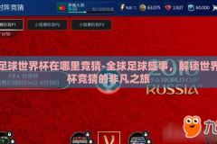 足球世界杯在哪里竞猜-全球足球盛事，解锁世界杯竞猜的非凡之旅